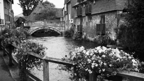 127 Film Photography
