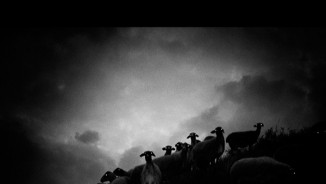 2018 Gomma Photography Grant