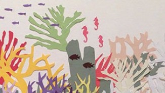 2018 Ocean Awareness Student Contest  