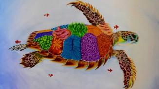 2018 Science Without Borders: Why Coral Reefs Matter