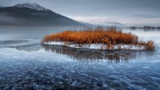 7th Annual Thomson Ecology Photography Competition