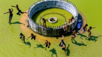  Children Photography VIPA 2017