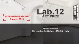  Lab.12 art contest