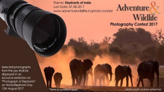 A&W Photography Contest 2017