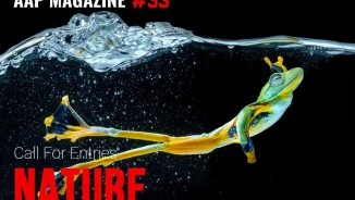 AAP Magazine#33 Nature