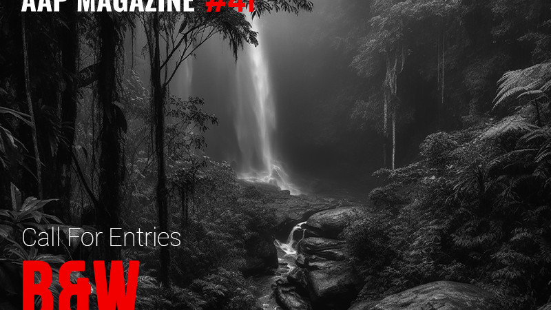 AAP Magazine #41 B&W, $1,000 Cash Prizes + Publication