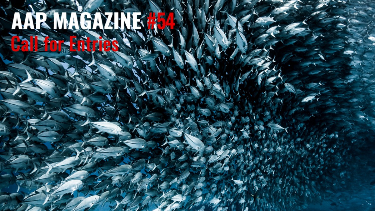 AAP Magazine 54 Nature: $1,000 Cash Prizes + Publication