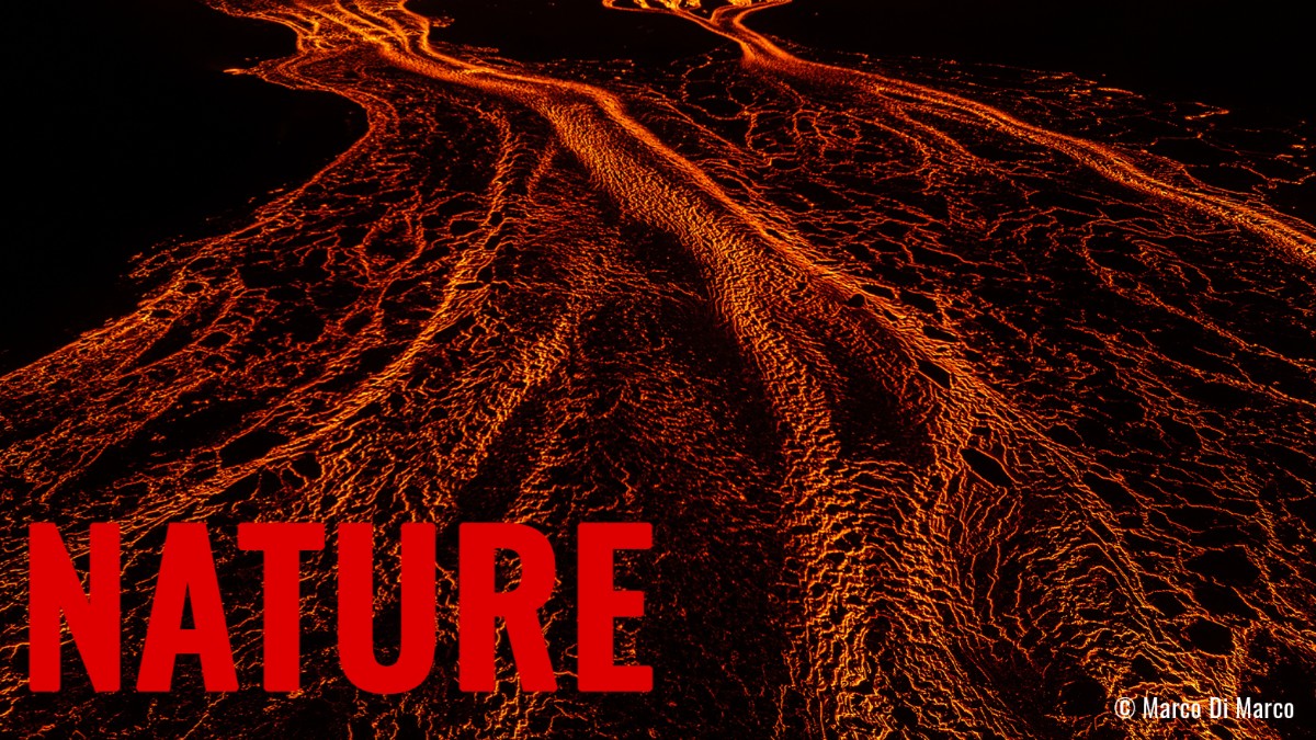 AAP Magazine #60 Nature: Publication + $1,000 Cash Prizes