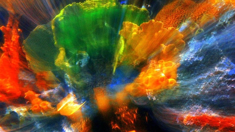 ALL Colors