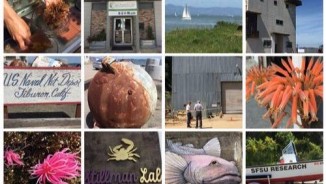 Architecture at Zero 2017