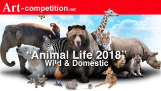 ART CALL TO ARTISTS AND PHOTOGRAPHERS – ANIMAL LIFE 2018 