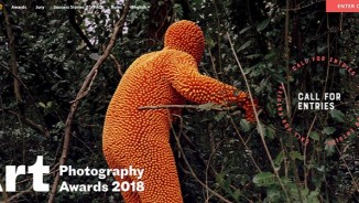 Art Photography Awards