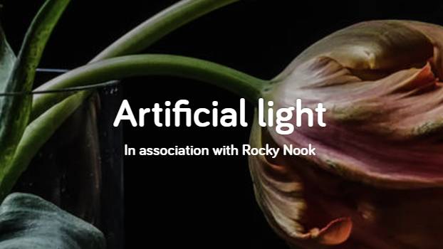 Artificial light