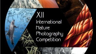 Asferico International Nature Photography Competition 2018