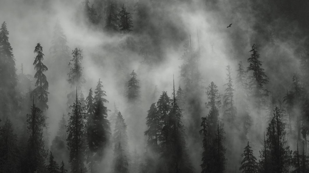 Black & White Photo Contest | Our World In Focus