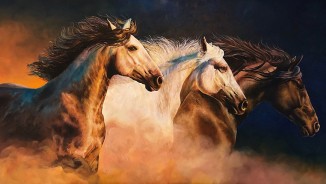 Call for International 