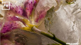 Creative Quarterly (CQ) 48th 