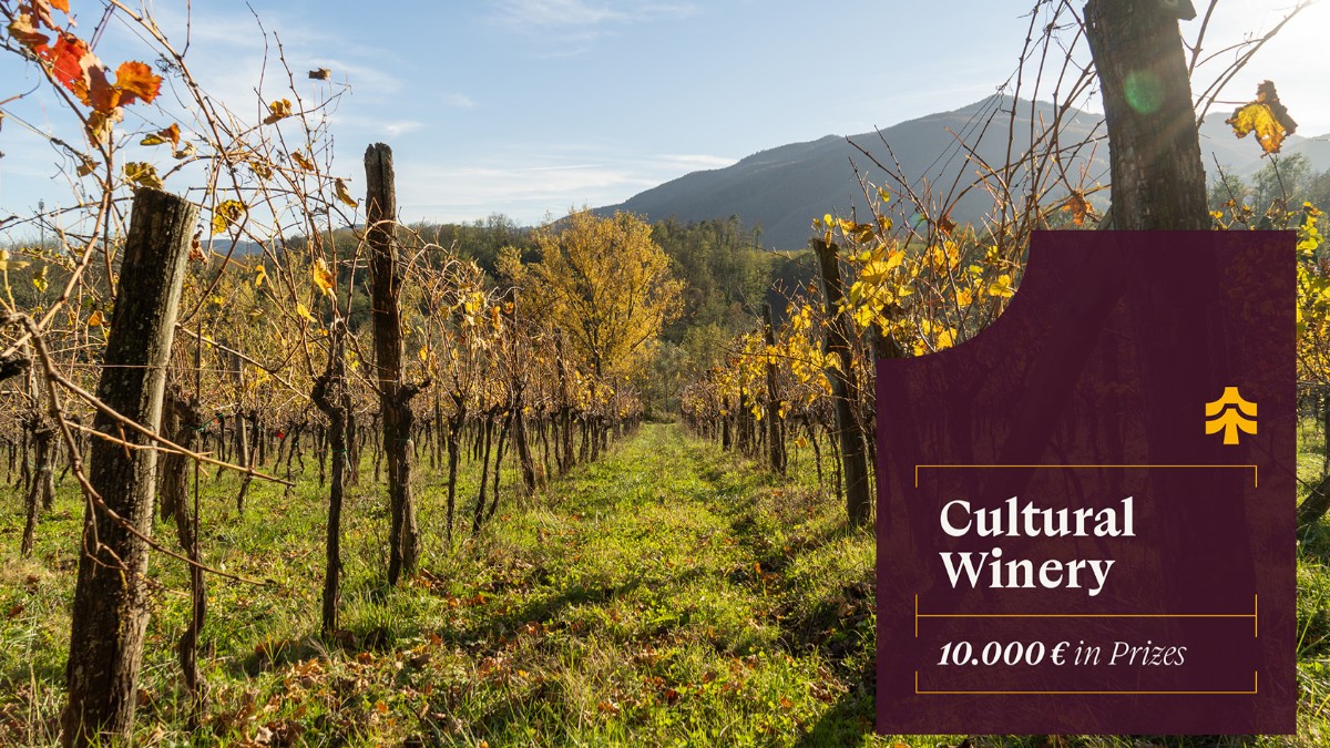 Cultural Winery