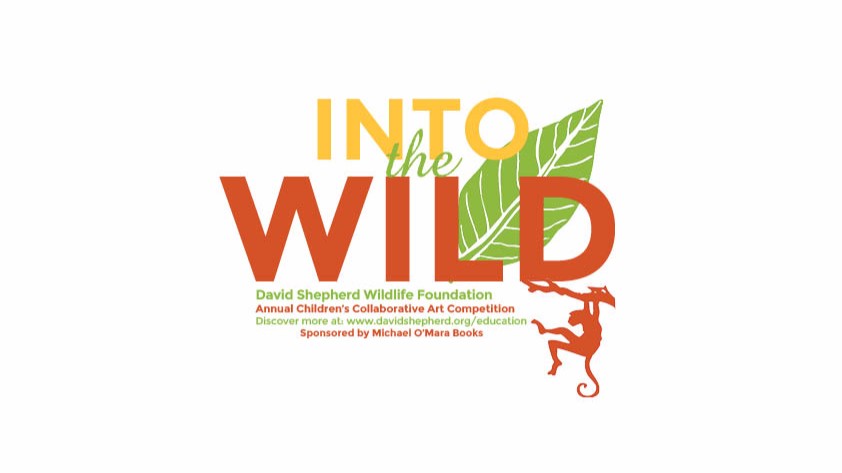 DSWF Global Canvas Art Competition 2018