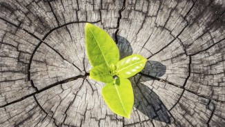 iF Social Impact Prize 2017