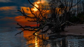 International Call for Art Competition, 