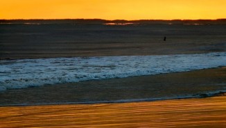 International Call for Online Art Competition, ALL Abstract