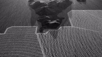 International Photography Competition 2017