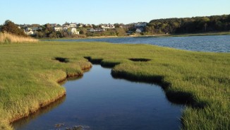 Joe Gouveia Outermost Poetry Contest