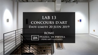 Lab.13 art contest