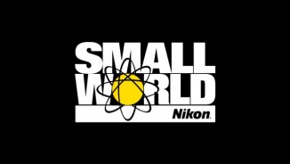 Nikon Small World 2019 