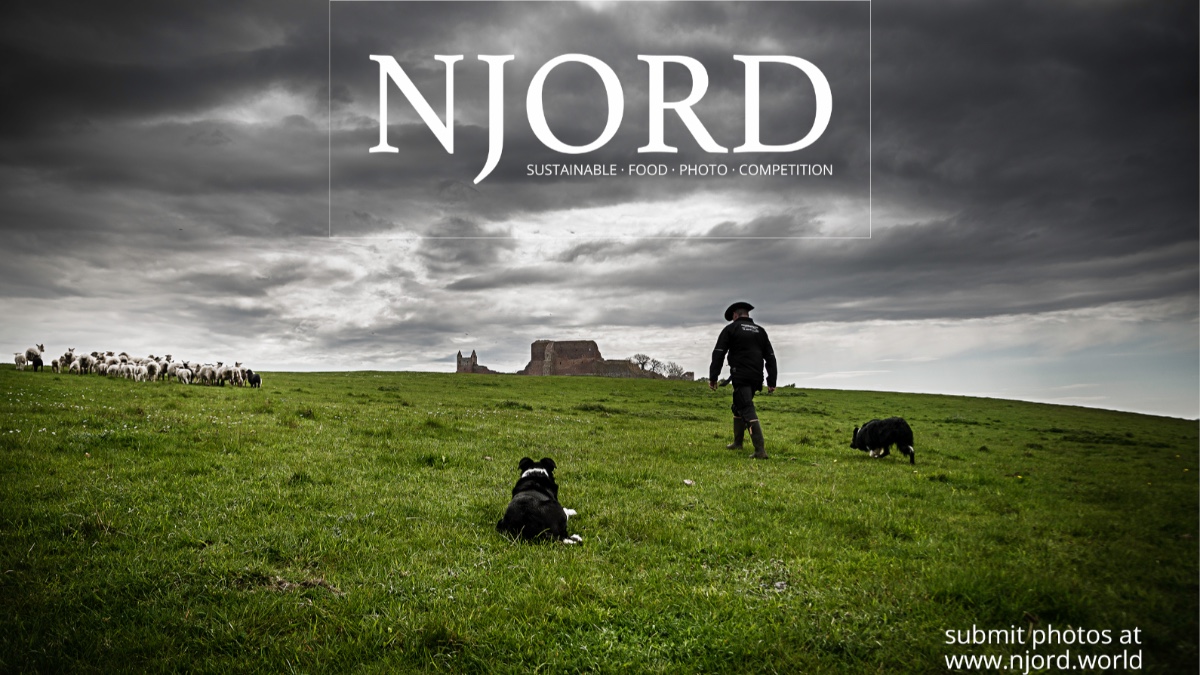 NJORD sustainable food photo competition
