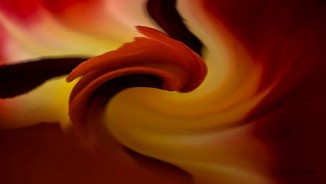 NYC4PA Abstract Imaging 2021