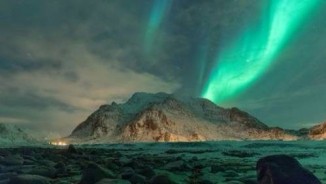 Photo Challenge: Shades of Green