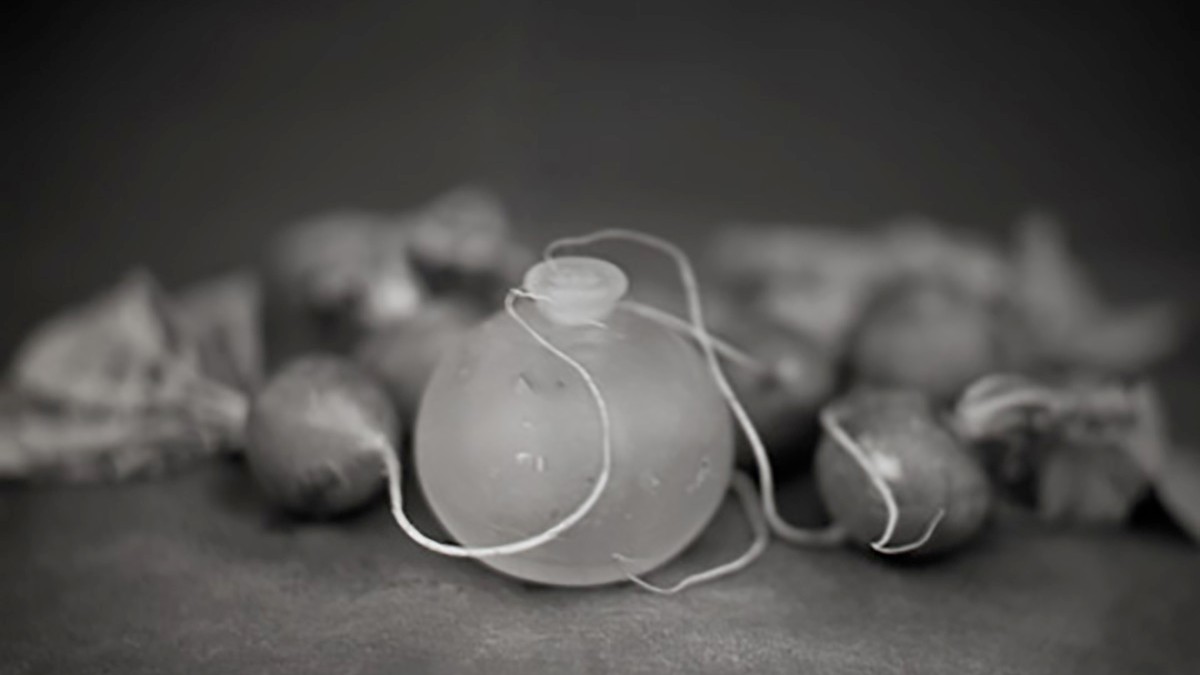 Photographic call for submissions 