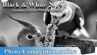 PHOTOGRAPHY CONTEST BLACK AND WHITE 2019 COMPETITION