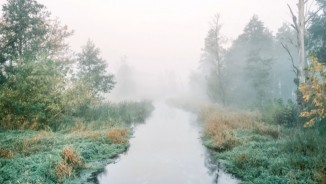 Prix étudiant COAL - Culture & Diversité 2021