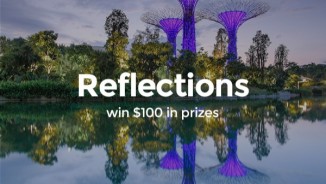 Reflections