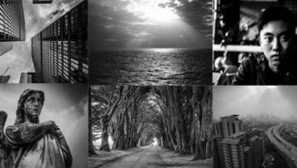Shades of Gray : Black and White Photography 2017
