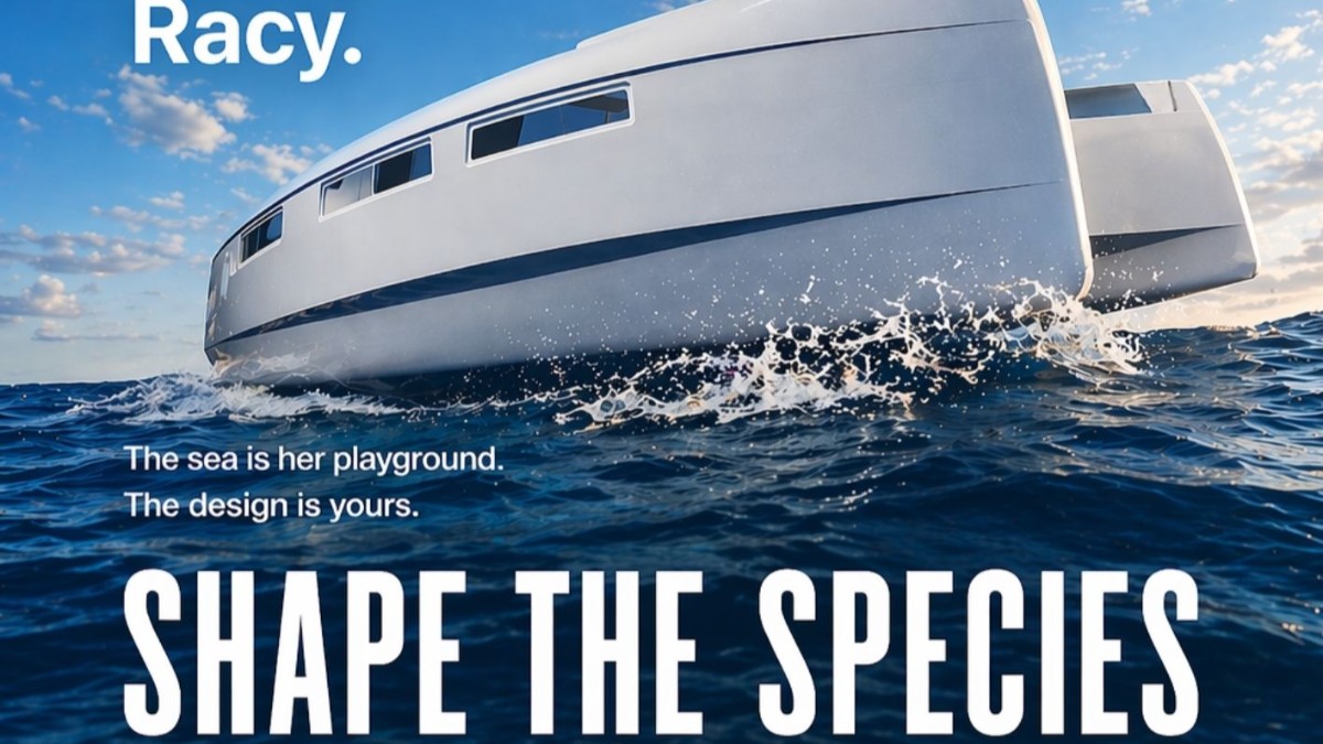 Shape the Species : imaginez la signature visuelle du 41 Typ