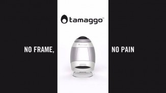 Tamaggo - No Frame, No Pain 