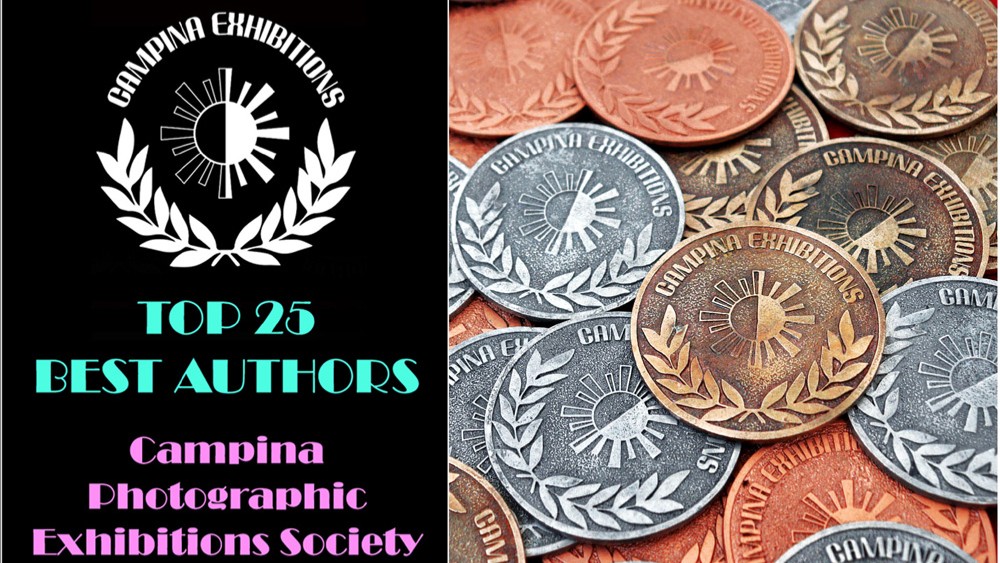 TOP 25 BEST AUTHORS!