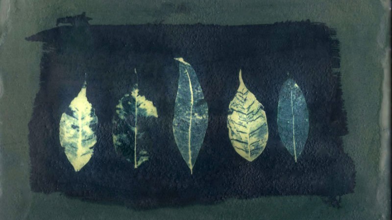 unique: alternative processes 2018