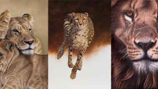 Wildlife Artist Of The Year Competition 2018