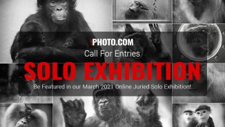 Win a Solo Exhibition in March 2021