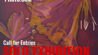 Win an online Solo Exhibition in  February 2025