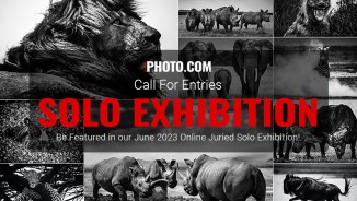 Win an online solo exhibition in June 2023