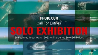 Win an online solo exhibition in March 2023