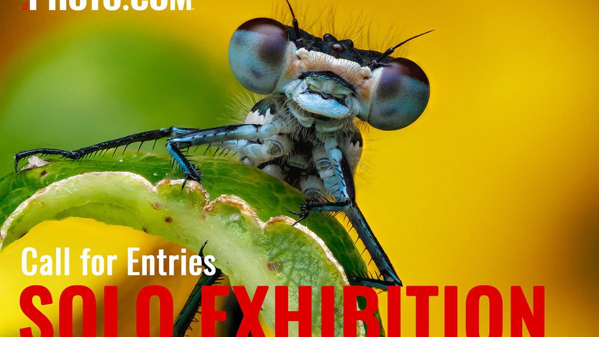 Win an online Solo Exhibition in  September 2025