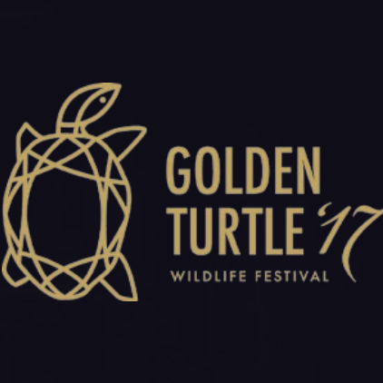 Golden Turtle