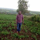 Arch NGUGI